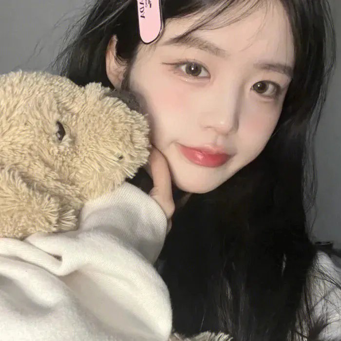 精武飞鸿