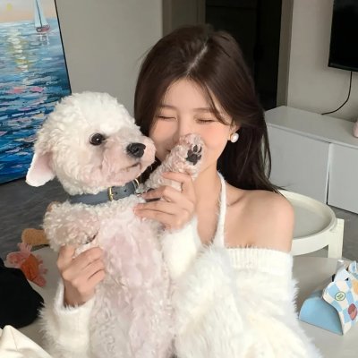 狂赌之渊第一季